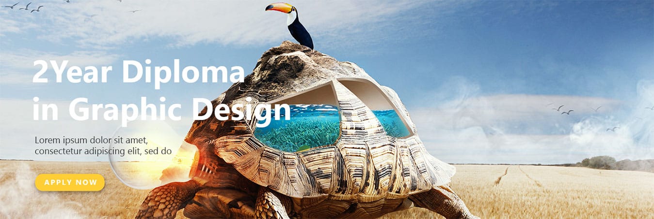 BVA in Graphic and Communication Design - 2 year BVA in Graphic and Communication Design - 2 year