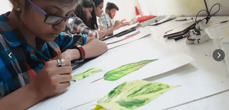 Students drawing Leaf Anatomy - Animaster Design College, Bangalore